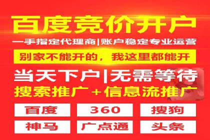 竞价排名案例：优化广告预算分配